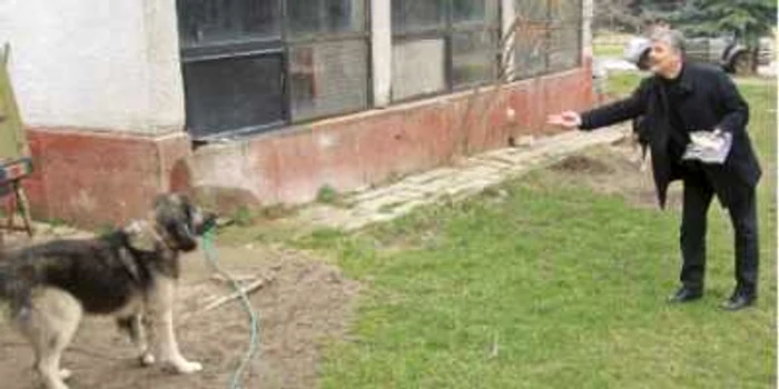 Andone hrăneşte câinii care păzesc intrarea în baza de antrenament a celor de la ŢSKA