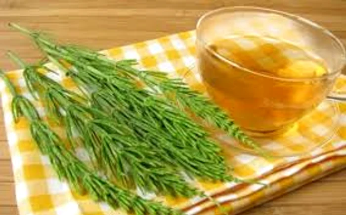 
    Specialiștii recomandă tratamentul cu coada calului în afecțiunile graveSursa foto: Adevărul.ro  