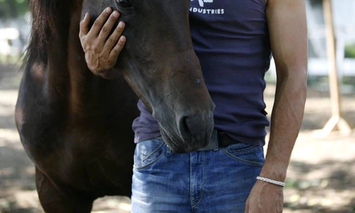 1 denis stefan codrut din inima de tigan jpg jpeg