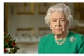 111626704 queenclose up jpeg