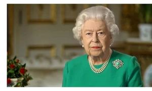 111626704 queenclose up jpeg