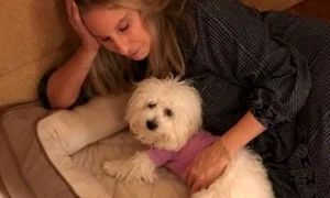 deschidere 1 barbra streisand jpeg