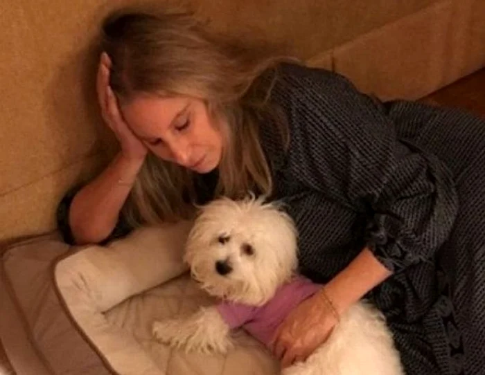 
    Clonele Miss Violet şi Miss Scarlett pe care le-a are Barbra Streisand după ce şi-a clonat câinele şi pe clona acestuiaFoto: Instagram  