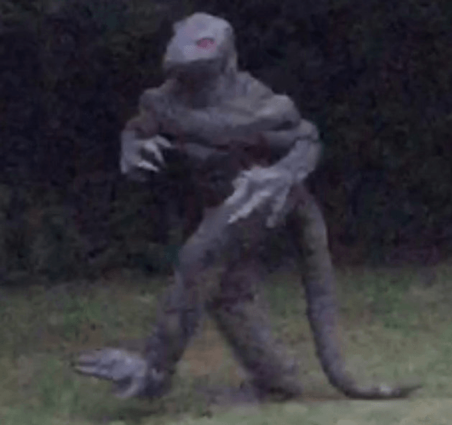Content image