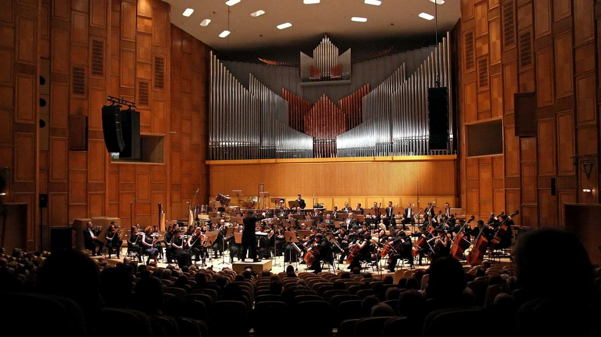 ”Titanic”, ”Cei 7 magnifici”, ”Jurrasic Park”:  concert de muzică de film la Sala Radio jpeg