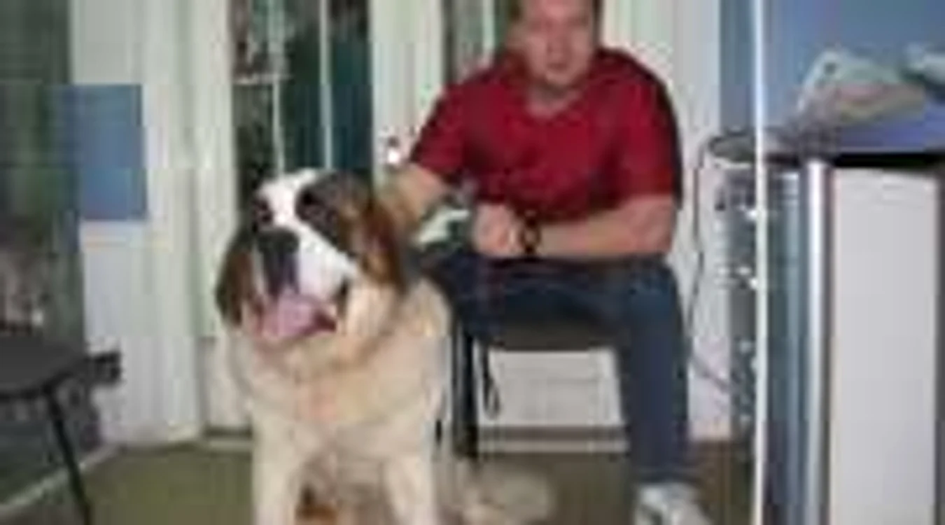 Căţeii de rasă Saint Bernard sunt foarte prietenoşi