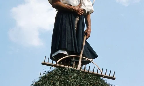 Tradițiile și tranzițiile fânului jpeg