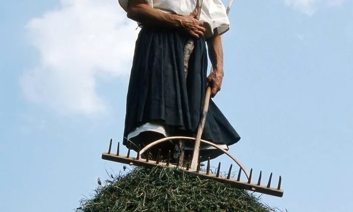 Tradițiile și tranzițiile fânului jpeg