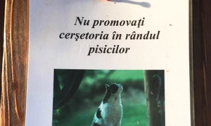 Cu ochii n 3,14 jpeg
