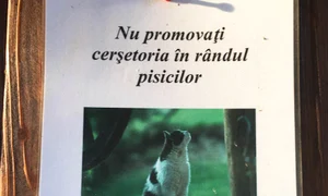 Cu ochii n 3,14 jpeg