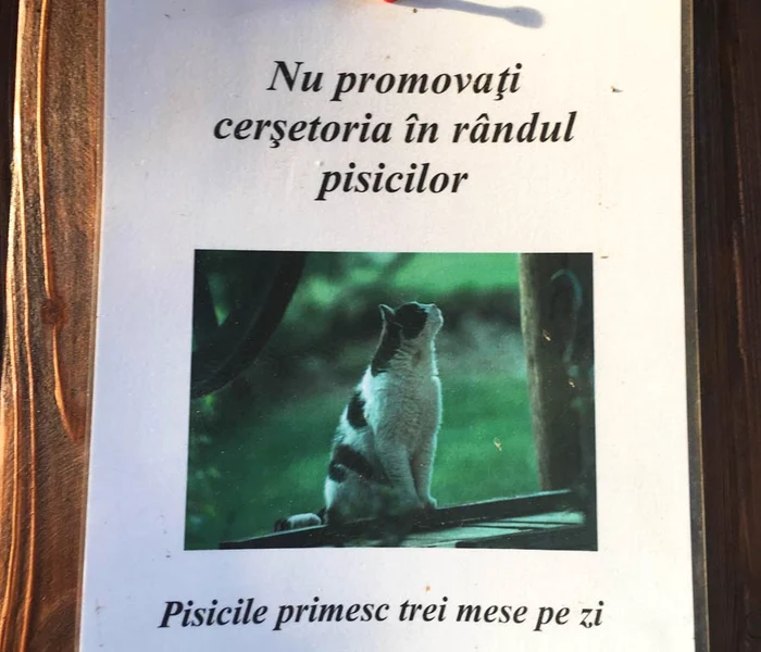 Cu ochii n 3,14 jpeg