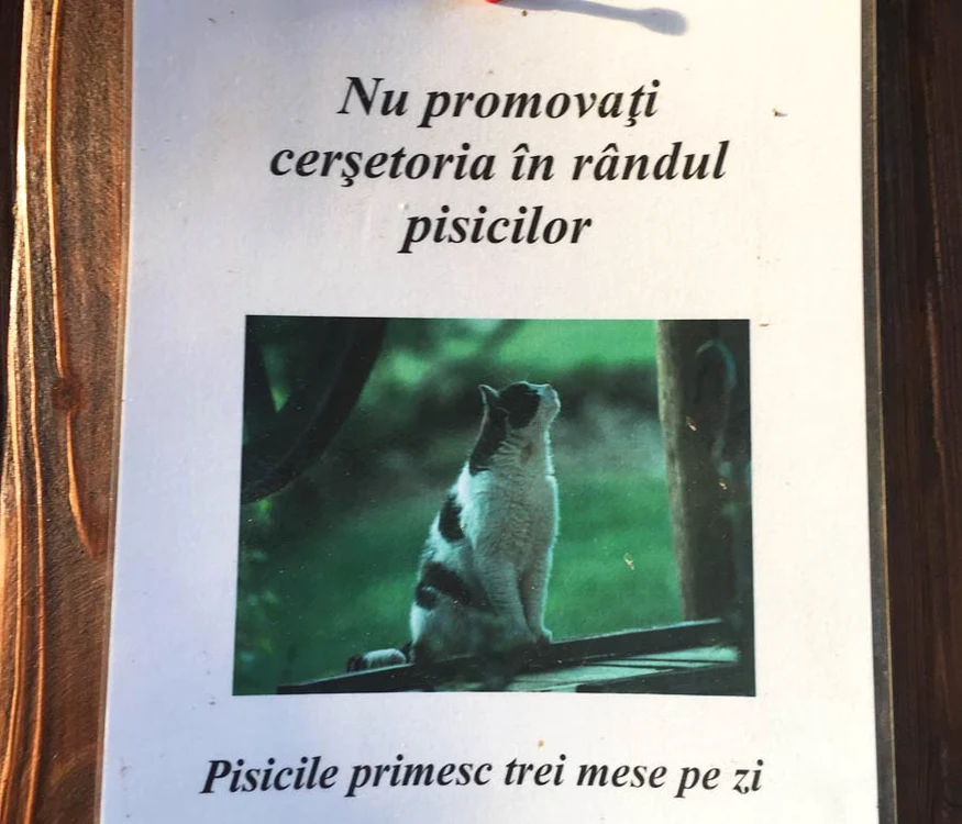 Cu ochii n 3,14 jpeg