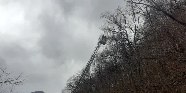Trafic blocat pe Valea Oltului ca urmare a căderii de arbori pe DN7 în Robești Câineni Foto ISU Vâlcea 2 jpeg