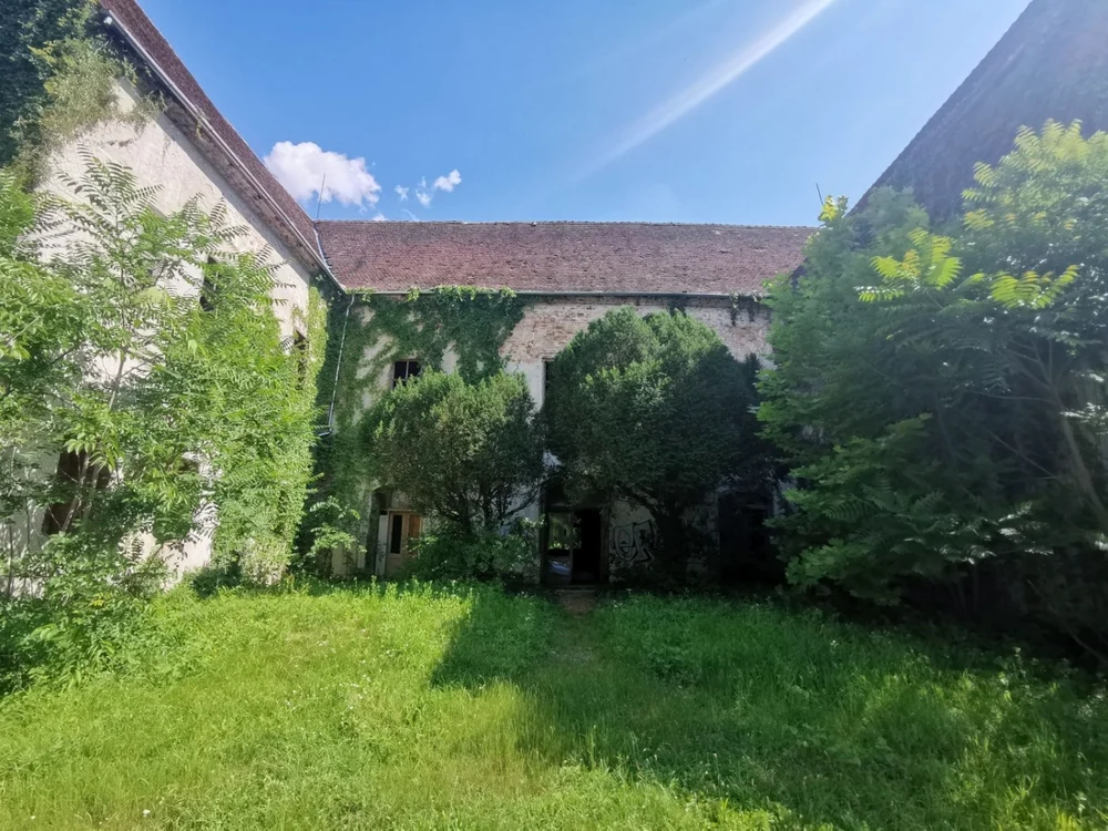 Castelul de la Banloc aşteaptă vremuri mai bune FOTO Ş.Both