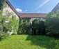 Castelul de la Banloc aşteaptă vremuri mai bune FOTO Ş.Both