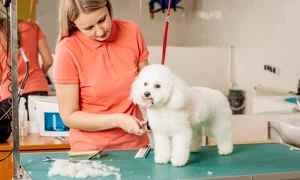 shutterstock 652983355 1 0 jpeg