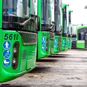 Noi troleibuze electrice intră în circulație în București. FOTO: Facebook /Primăria București