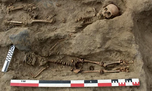Rămășițele a 227 de copii sacrificați într un ritual precolumbian, descoperite de arheologi  jpeg