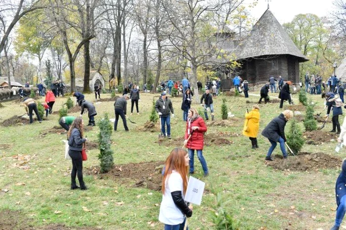 
    Medaliatii olimpici, in actiune la plantarea Padurii OlimpiceFOTO: Facebook/ COSR  
