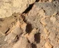 Amprenta unui câine, descoperită într-o cărămidă din situl Tavşanlı Höyük
