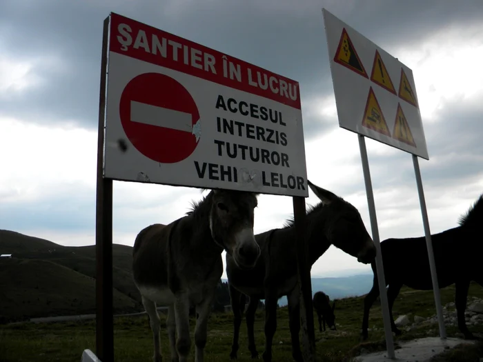 Transbucegi este, oficial, un drum necirculabil în prezent FOTO Adevărul Ploieşti