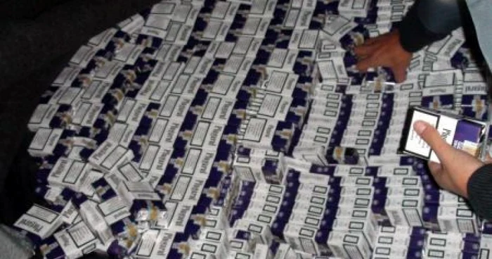 Membrii grupării riscă ani buni de închisoare