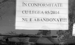 Cu ochii n 3,14 jpeg