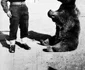 historia ro undefined jpeg