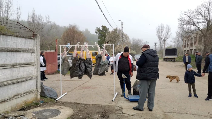 Punctul de sacrificare a mieilor din Slatina va funcționa și în acest an FOTO: Alina Mitran