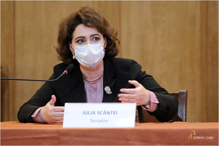 Iulia Scântei, preşedinta Comisiei juridice a Senatului. FOTO: Facebook Iulia Scântei