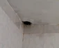 inundatii in casa