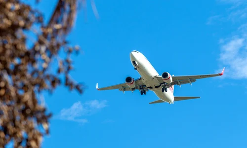 avion jpg