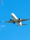 avion jpg