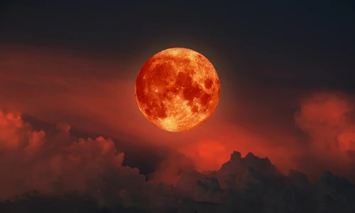 shutterstock 2060181572 jpg