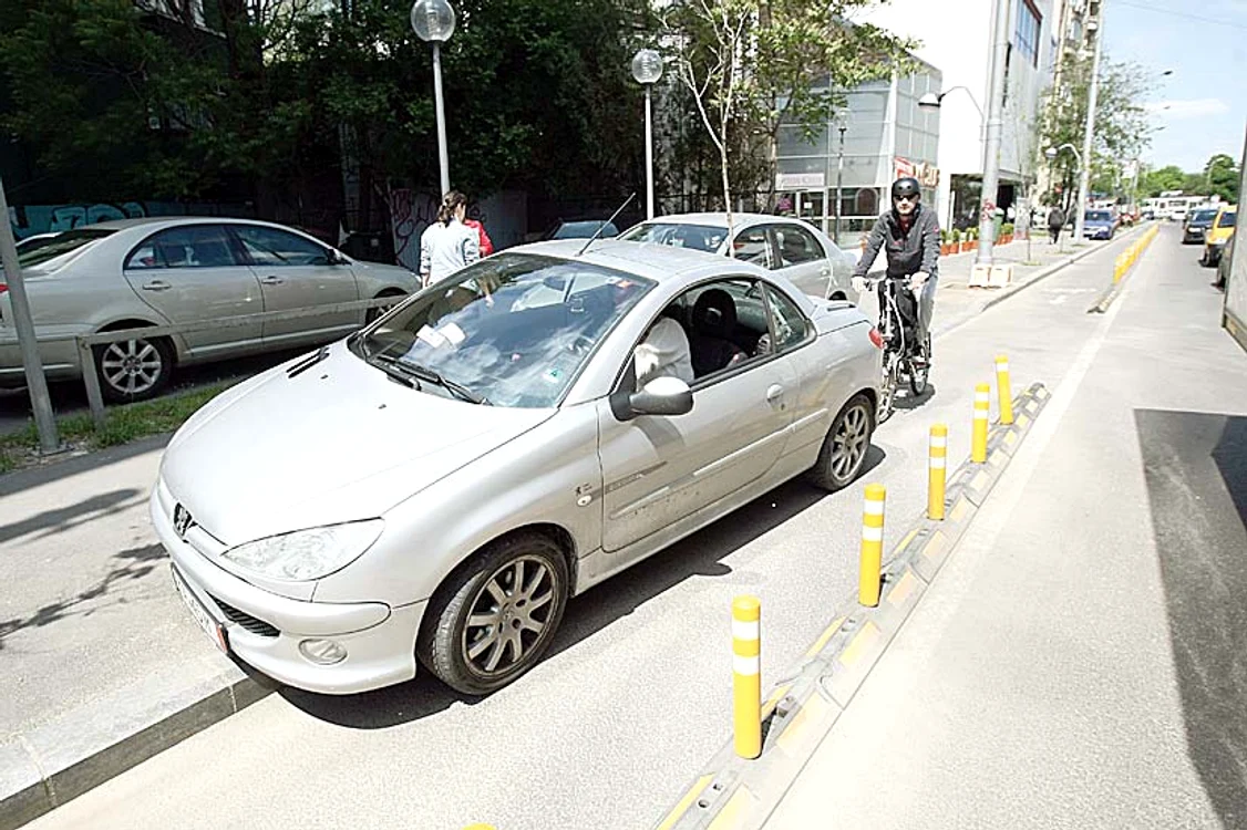 2014 - Stâlpişorii din plastic nu sunt aunii dintre noi