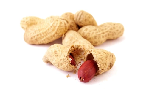 1 59242 original jpg jpeg