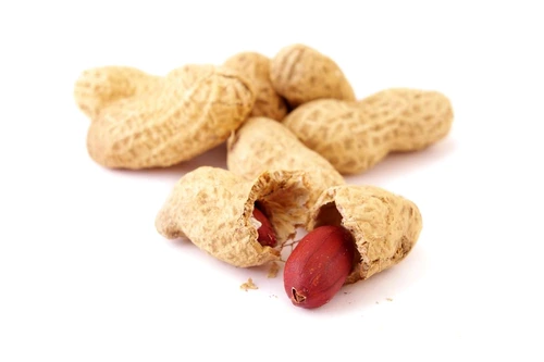 1 59242 original jpg jpeg