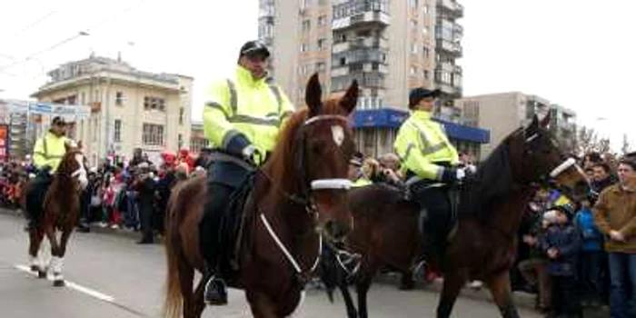 Poliţia Locală foloseşte caii pentru misiunile de menţinere a ordinii publice în interiorul mulţimilor