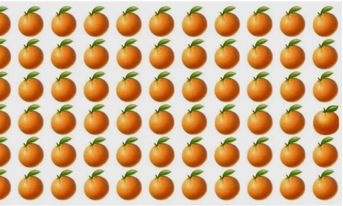 portocale provocare jpg