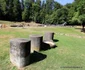 Saemizegetusa Regia  Foto Daniel Guță ADEVĂRUL (8) JPG