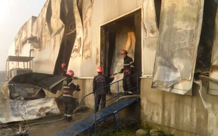 incendiu bascov