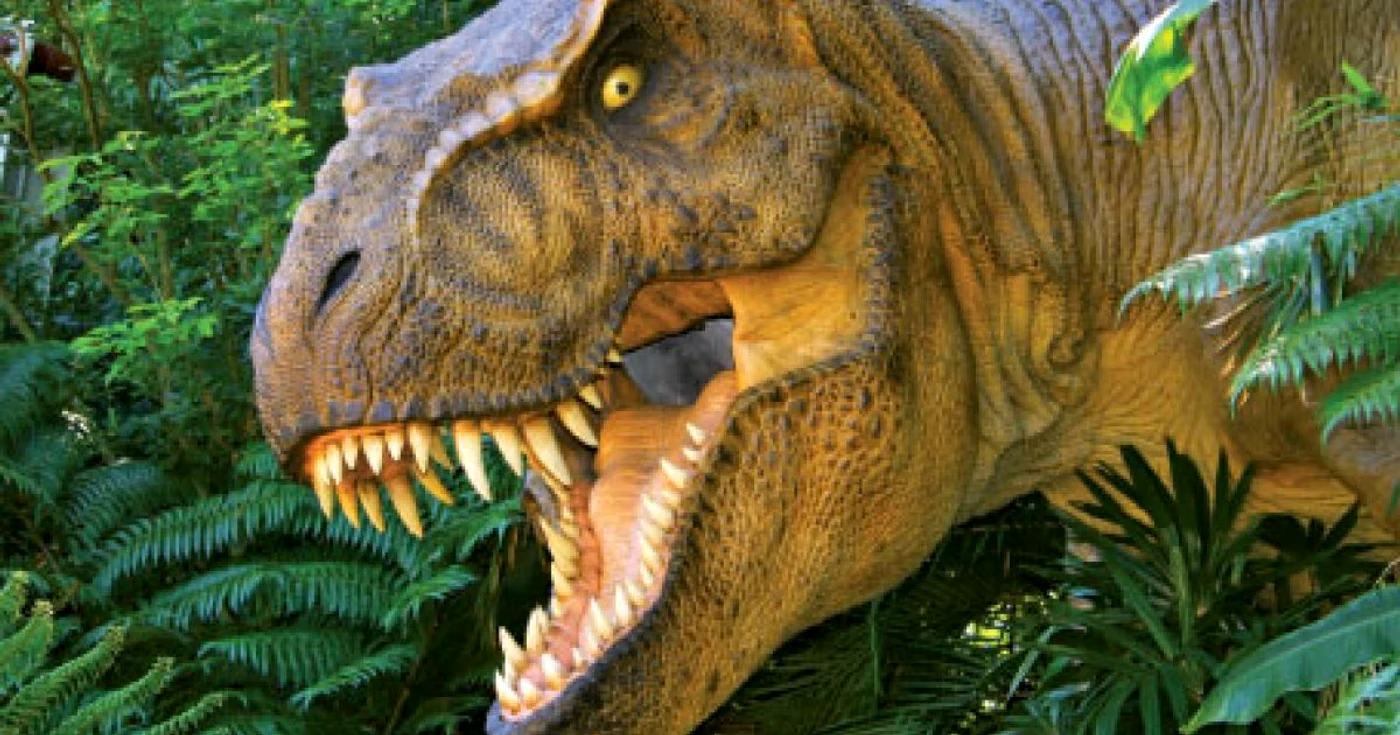 Imaginea unui dinozaur T-rex