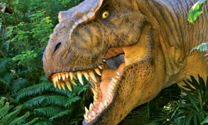 Încălzirea globală a dus la apariţia dinozaurilor T-Rex