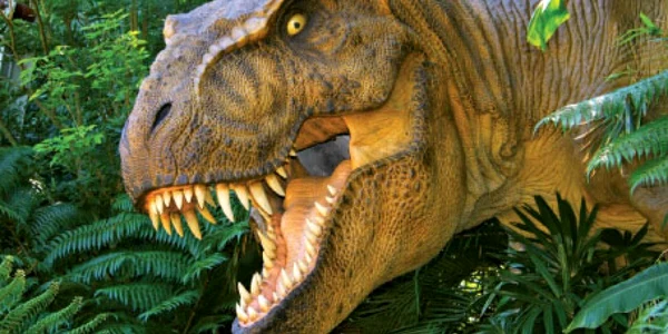Încălzirea globală a dus la apariţia dinozaurilor T-Rex
