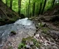 Cioclovina Munții Șureanu Foto Daniel Guță (35) JPG