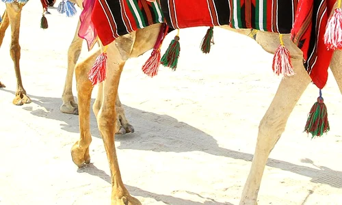 article 2049394 0E60609100000578 68 634x914 jpeg