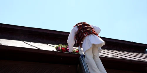 instrutatul boului bistrita  12