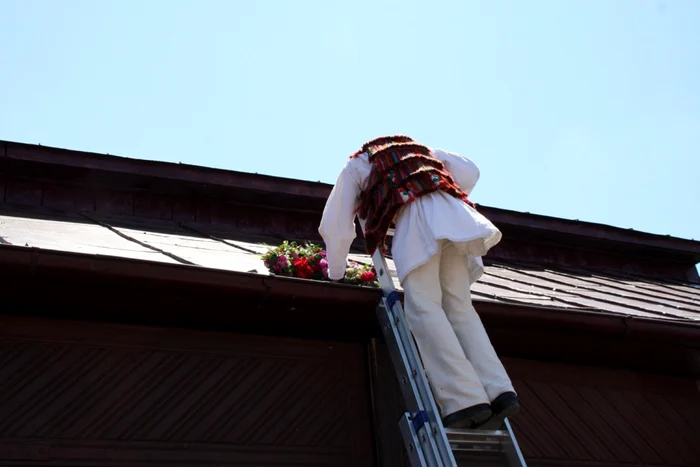 instrutatul boului bistrita 12