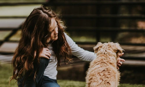 1 caine copil jpg jpeg