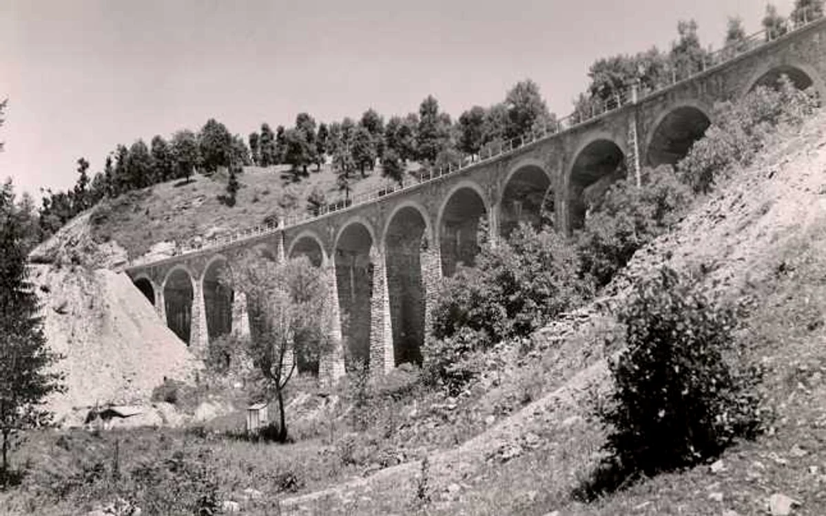 Defileul Jiului 